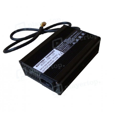 Chargeur batterie 12V 24V