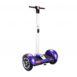 Segway charge maximum 120 kg