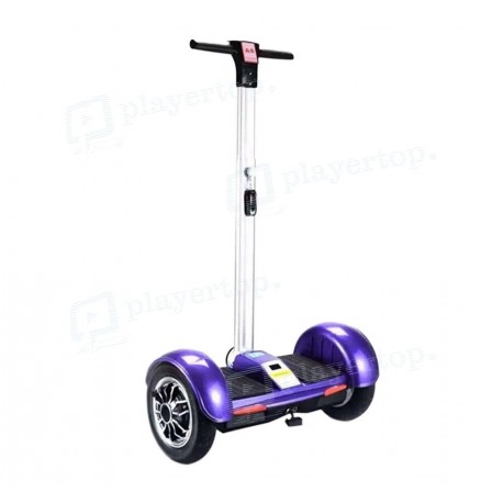 Segway charge maximum 120 kg